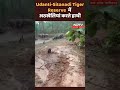 Udanti-Sitanadi Tiger Reserve  के जंगलों में दिखा हाथियों का झुंड  - 01:00 min - News - Video