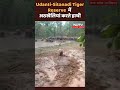 Udanti-Sitanadi Tiger Reserve  के जंगलों में दिखा हाथियों का झुंड