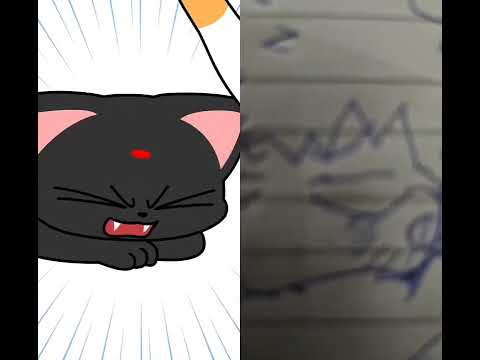 🐈‍⬛️🐈🎏🎏🎏