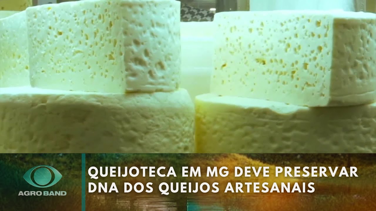 Giro Brasil plantas no período de seca doença afeta shimeji e queijoteca