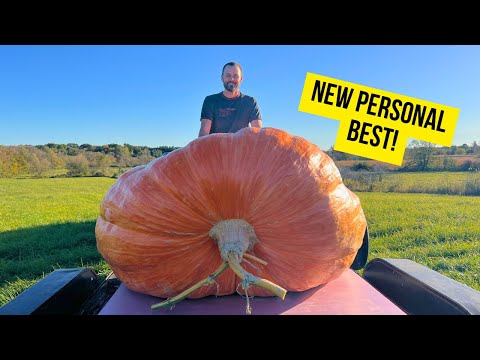 Giant Pumpkin Weigh Off + Cover Crop Plans