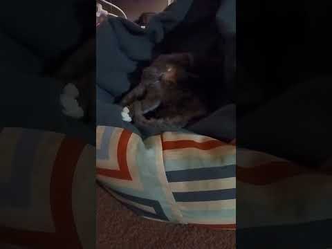 #boots #Indah #beanbag #amen #beach #rainyday #bigjoe