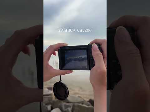 YASHICA City200 summer photo dump