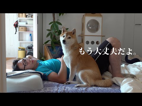 落ち込む柴犬にまさかの救世主登場！状況が一変しました。 サムネイル