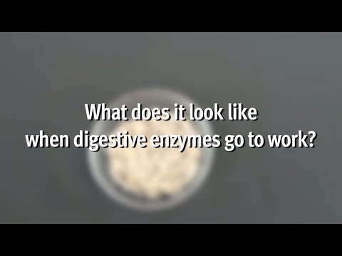 SpectraZyme