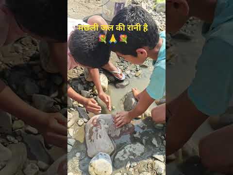कुछ मछली के जीवन को बचाने का प्रयास में बच्चो को क्या मिला 🤣 #trending #1000subscribe #funny #comedy