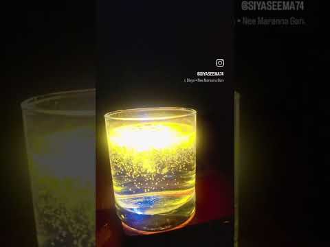 Magical Moment 🎀🌸✨🔮🪄🪩🧬#trending #love #viralshort #ytshorts #youtubeshorts #like #me #share #magic