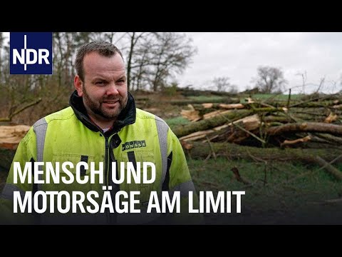 Abholzen im Grenzbereich | Die Nordreportage | NDR Doku