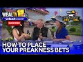 Handicapper explains the best bets for this years Preakness Stakes