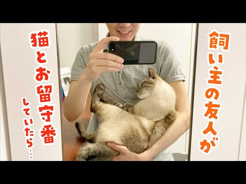 猫が心を開いてくれました…！
