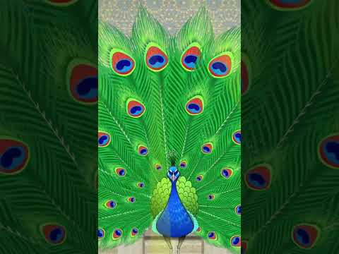 Oasis de l'Est 🧞💫 #Shorts #tadaboomfrançais #mashaetmichka #Lescontesd'Orient