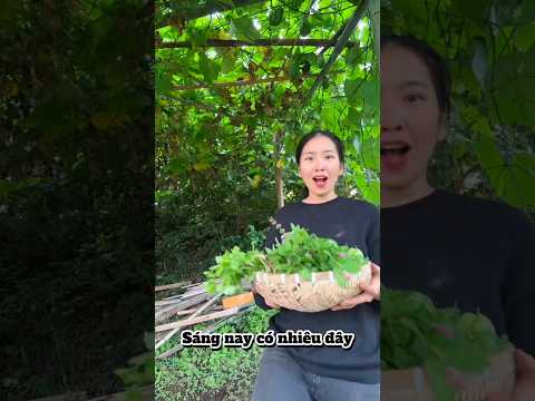 Thế thôi cũng vui