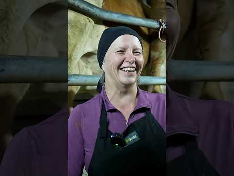 Mädchen für alles #unserland #landwirtin #landwirtschaft #shorts