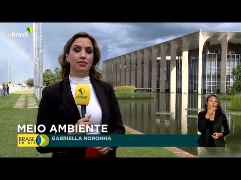 Lula recebe primeiro-ministro alemão em Brasília