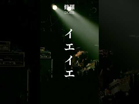 DOES “修羅” LIVE AT AKASAKA BLITZ 2016 - Short Version #DOES #修羅 #Shorts