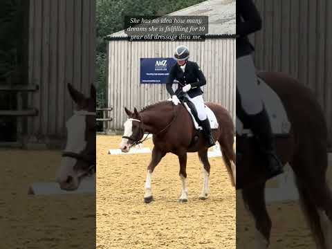 Special girl ❤️ #horse #equestrianjourney #equestrian #horsetype #horsegirl #ponyhorse #pony