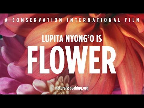 Nature Is Speaking – Lupita Nyong'o is Flower | Conservation International (CI)