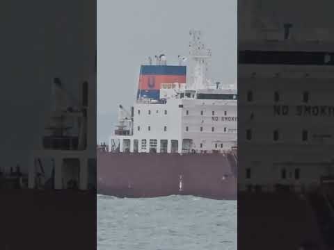 Mipo's daily life - 106