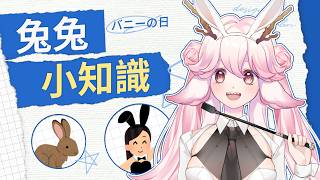 【0802 兔女郎日】 兔兔冷知識 使用 Kahoot! 來看看龍準備了哪些兔女郎與兔兔小知識吧 | 高維爾冷知識 #台灣Vtuber