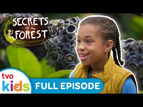 The Transformer ✨🍃 SECRETS OF THE FOREST - Season 1 Full Episode | TVOkids