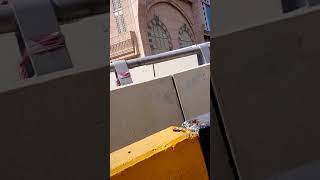 شاهد الطريق الدائرى الاول فى مكة المكرمة حول الحرم -