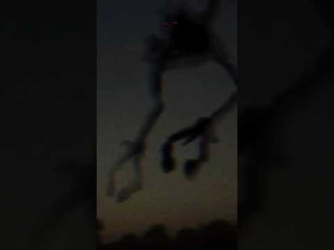 LO QUE VIERON LOS HUMANOS EN ☠️💥 #skibiditoilet #shorts