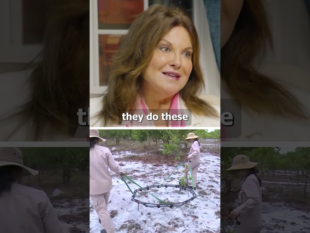Since 1997, Heidi Kuhn has led efforts to remove over 100,000 landmines across countries like Afghanistan, Ukraine, Vietnam, and Cambodia...what to know her story, watch our full interview with Heidi: https://youtu.be/TSxBb5blFvk

 #bayareainnovators   

========
🔵 Sign up for our newsletter: https://bayareabeyond.com/
⭕️ Follow us on GAN JING WORLD: https://bit.ly/GJW_Bay
🚗 Donate your used vehicle to support us: https://cars4epoch.org