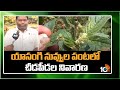 యాసంగి నువ్వుల పంటలో చీడపీడల నివారణ | Pest Control Techniques In Sesame Crop | Matti Manishi | 10TV