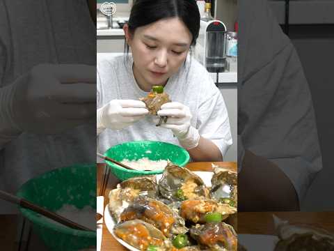 게딱지에 밥 쓱삭