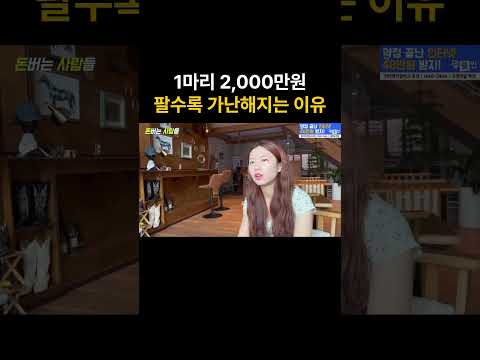 말 1마리 2,000만원에 팔면 적자인 이유