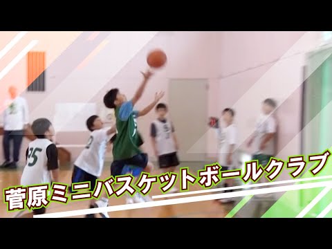 菅原ミニバスケットボールクラブ