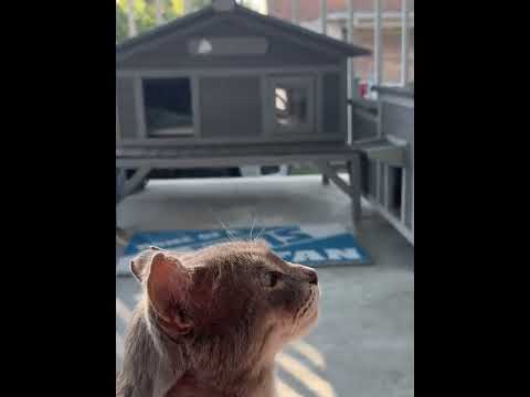 That Little Look of Wonder