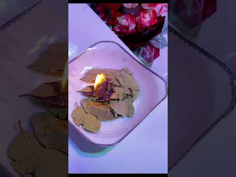 Quemar laurel te puede salvar la vida #reels #natural #youtubeshorts #tips #viralshort