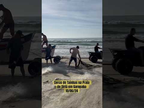 Cerco de Tainhas na Praia do Siriú em Garopaba 10/06/24