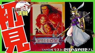 【ファミコン実機】ウィロー WILLOW 初見実況【Vtuber】