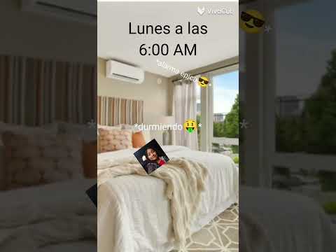 Si soy 😂 #escuela #comedia #vivacut