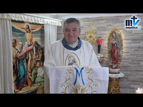 "Convierte tu Dolor en Colaboración con la Redención" | Nuestra Señora de los Dolores | P. Santiago