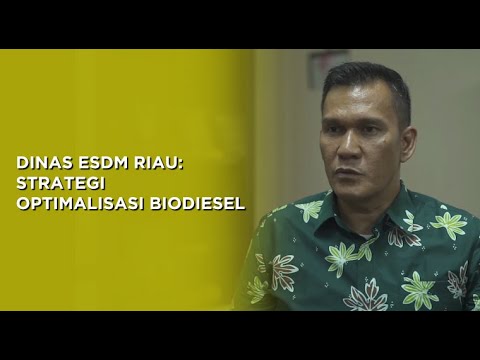 DINAS ESDM RIAU: Strategi Optimalisasi Biodiesel | Sisi+ By Katadata Indonesia