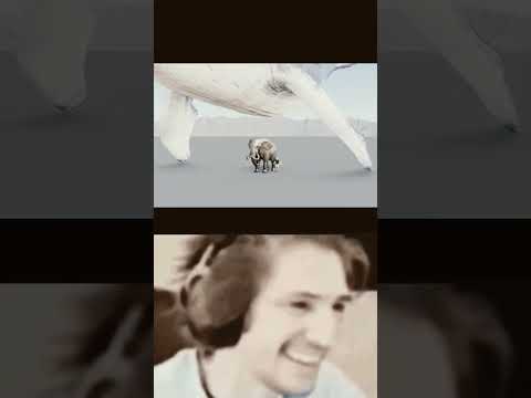 blue whale comparison