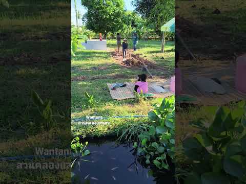 กิจกรรมวันหยุดช่วงปิดเทอมของเด็กๆสู้ๆลูก..#ขุดคลองใส่ใจ #กิจกรรมวันหยุด #กิจกรรมครอบครัว #nature