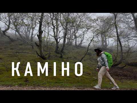 Я пройшла 400 км сама: мій досвід Каміно та невідома Іспанія