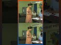 2024 कंगना रनौत ने वोट दिया, देखें वीडियो #kangnaranaut #7thphasevoting #loksabhaelection2024 - 00:57 min - News - Video