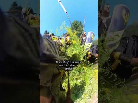 LARP battle in a giant flower bush 🌼