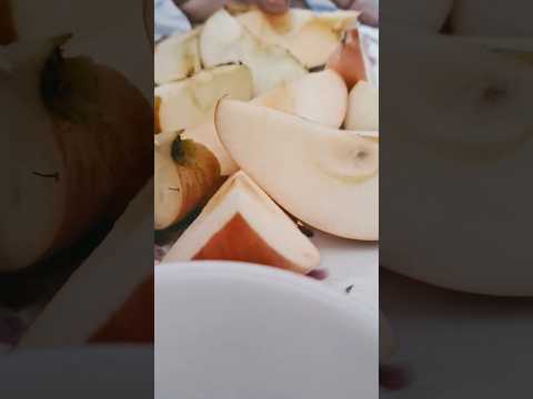 #minivlog #vlog #funny #love #cat #dharatisolanki #comedymovies #varshachoudhariofficial#comedyfilms