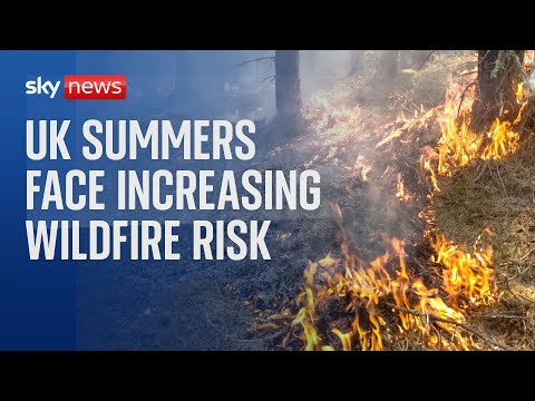 England and Wales at 'very high' risk of wildfires