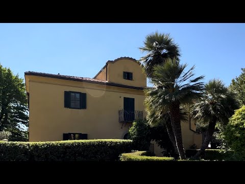 Property video