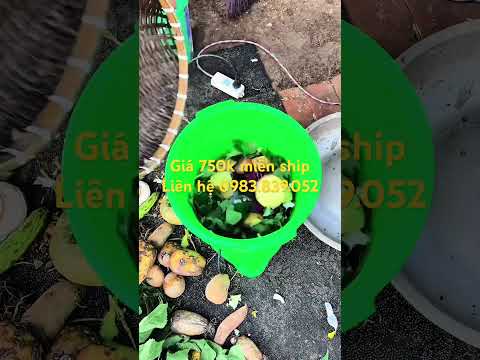 Máy xay thức ăn chăn nuôi cho gia súc #maytronthucanchannuoi #channuoi #farming