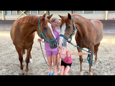 We buy a new pony