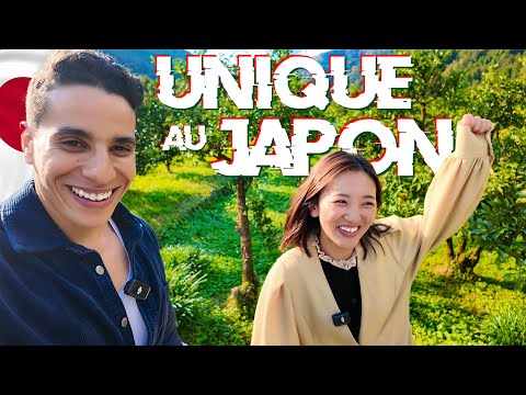 J'ai traversé le Japon pour découvrir ça !