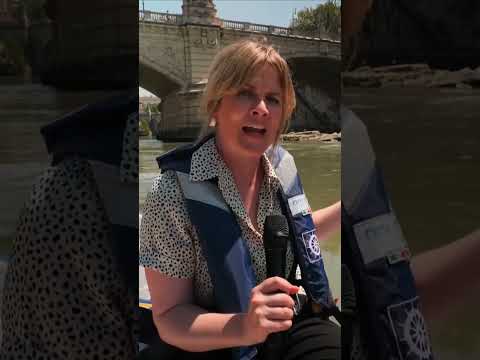 Heatwave: Low river levels reveal ancient bridge